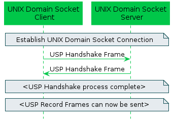 Unix Domain Socket Binding