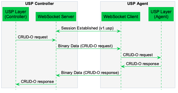 Figure 5: USP Request using a WebSocket Session 